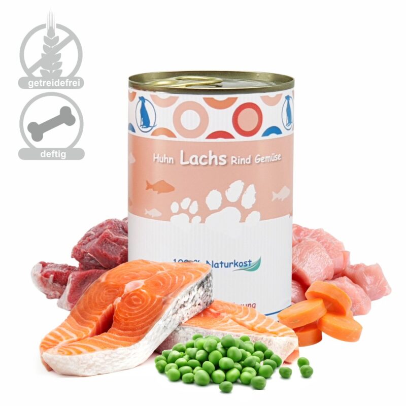 nassfutter für hund lachs